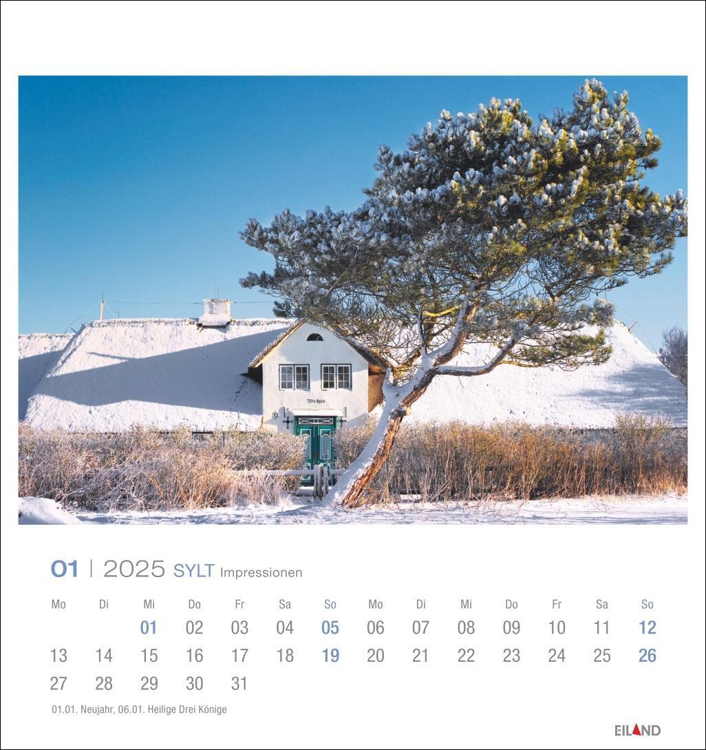 Bild: 9783964023353 | Sylt Impressionen Postkartenkalender 2025 | Hans Jessel | Kalender