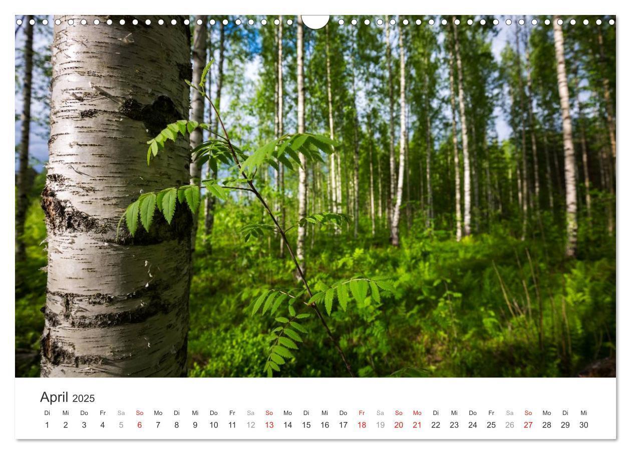 Bild: 9783435562442 | Landschaften Finnlands (Wandkalender 2025 DIN A3 quer), CALVENDO...