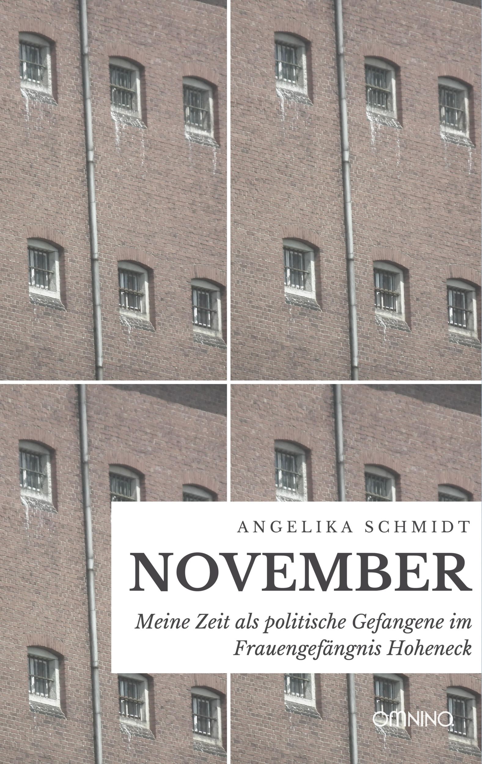 Cover: 9783958941601 | November | Angelika Schmidt | Taschenbuch | 164 S. | Deutsch | 2020