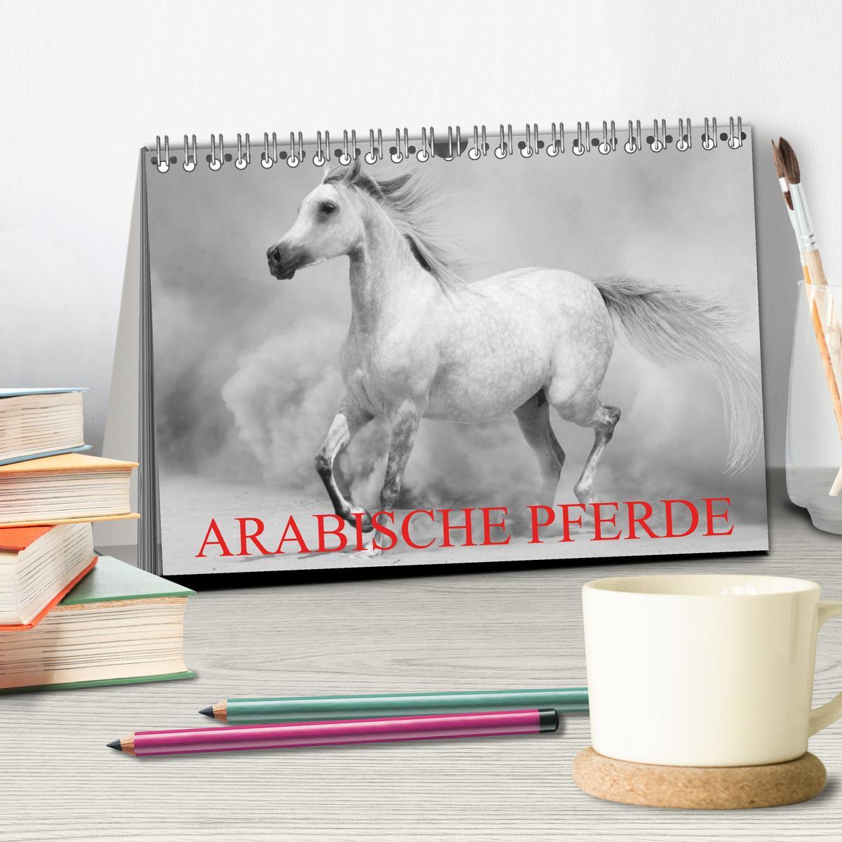 Bild: 9783435684472 | Arabische Pferde (Tischkalender 2025 DIN A5 quer), CALVENDO...