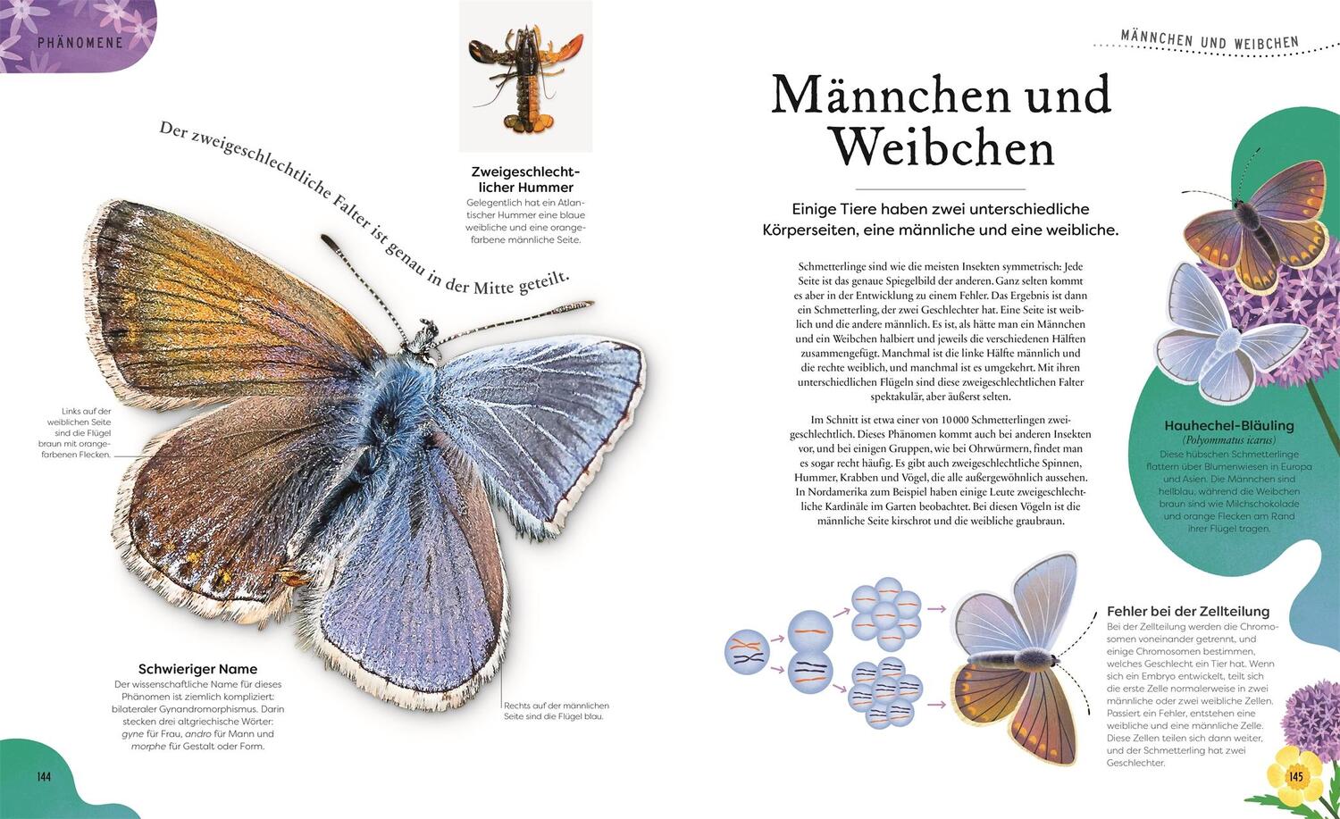 Bild: 9783831049127 | Kuriose Schätze der Natur | Ben Hoare | Buch | 192 S. | Deutsch | 2024