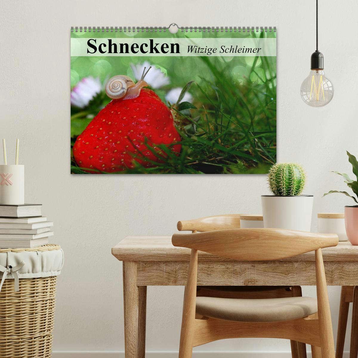 Bild: 9783435605910 | Schnecken. Witzige Schleimer (Wandkalender 2025 DIN A3 quer),...