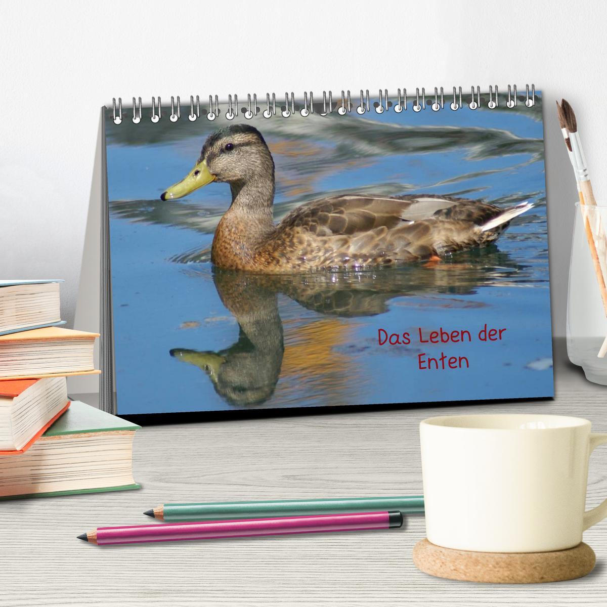 Bild: 9783435833610 | Das Leben der Enten (Tischkalender 2025 DIN A5 quer), CALVENDO...