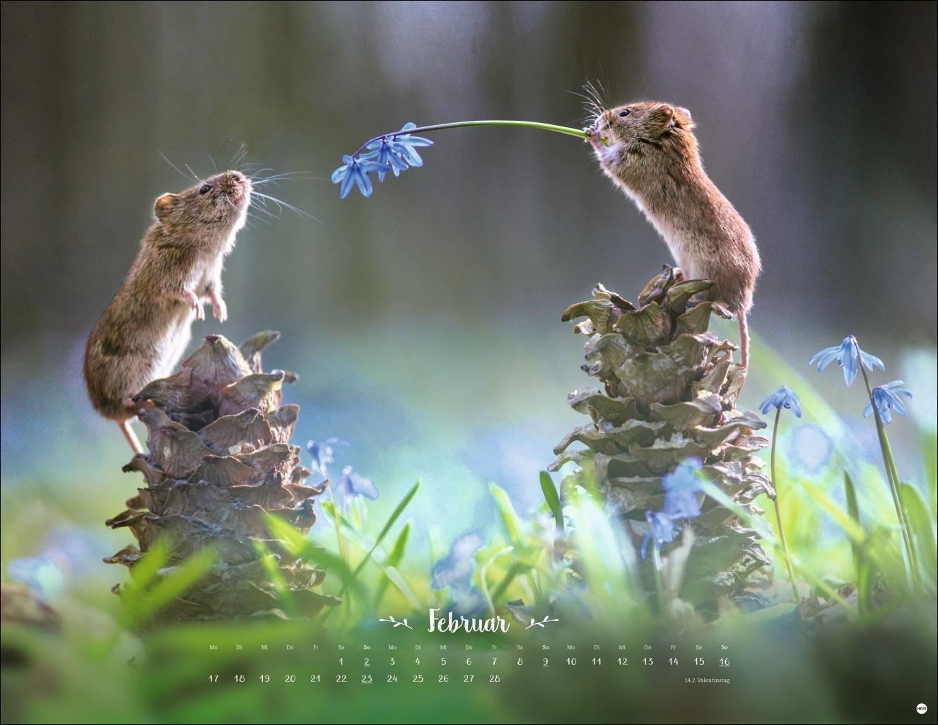 Bild: 9783756405183 | Vadim Trunov: Märchenhaftes Waldleben Posterkalender 2025 | Kalender