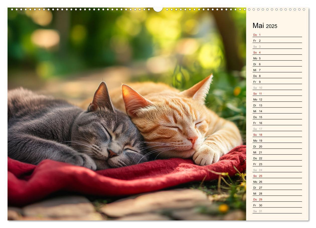 Bild: 9783457179918 | Katzen schaffen Kunst (hochwertiger Premium Wandkalender 2025 DIN...