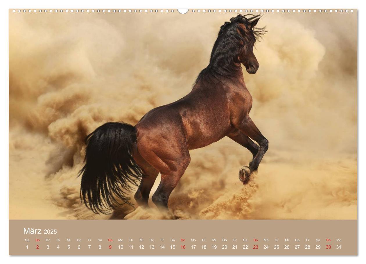 Bild: 9783435677948 | Pferde ¿ Araber im Wüstensand (hochwertiger Premium Wandkalender...