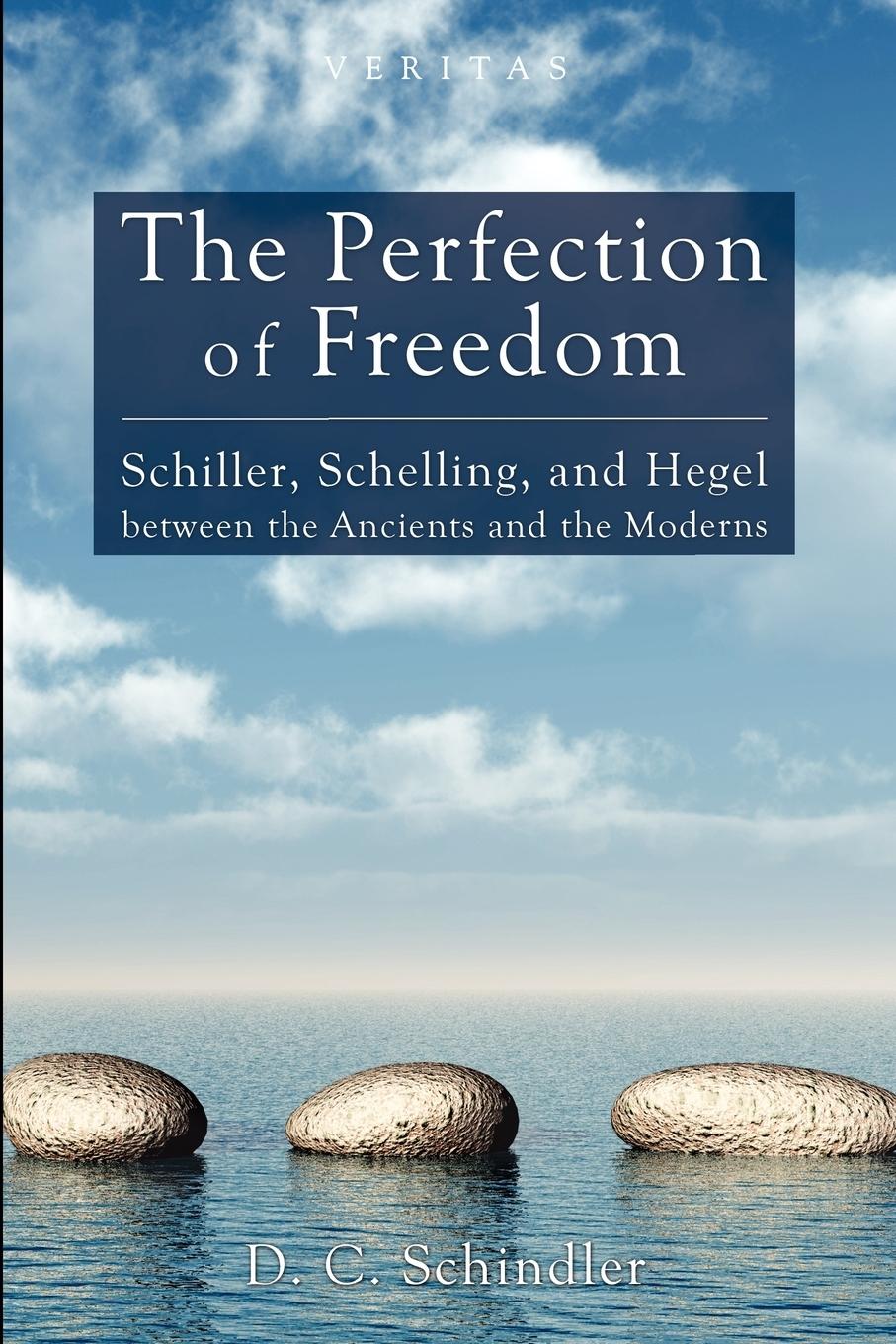 Cover: 9781620321829 | The Perfection of Freedom | D. C. Schindler | Taschenbuch | Englisch