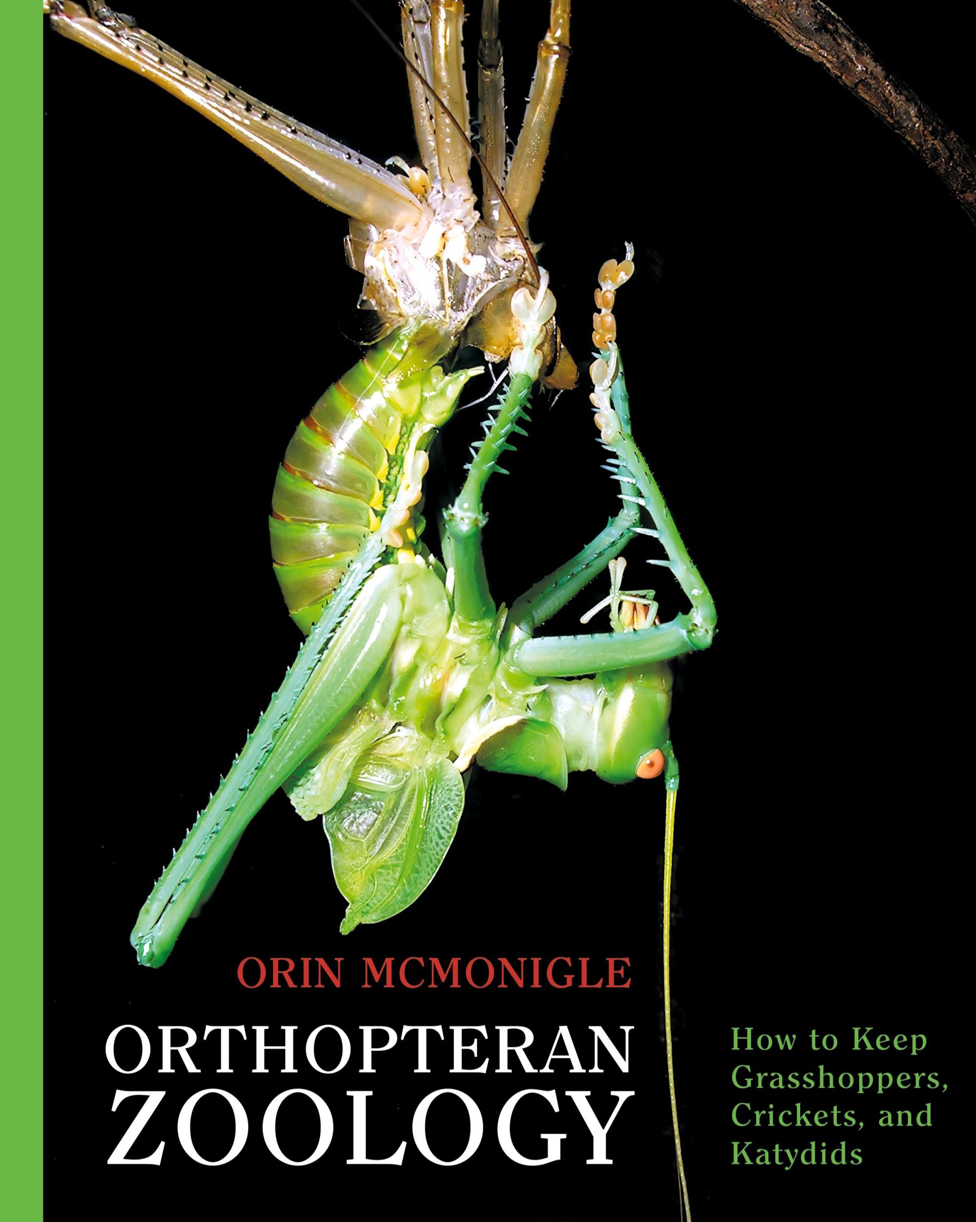 Cover: 9781616465162 | Orthopteran Zoology | How to Keep Grasshoppers, Crickets, and Katydids