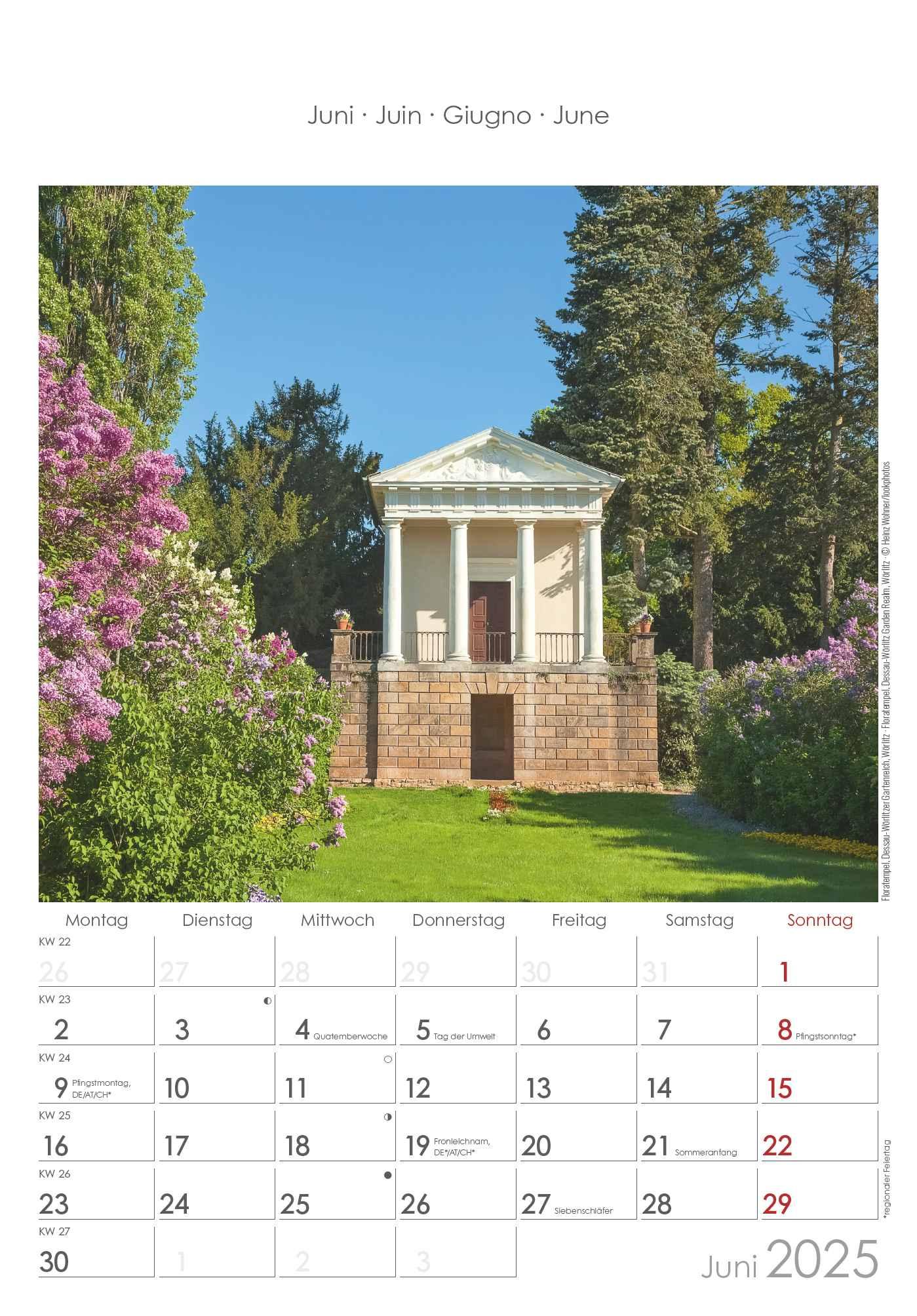 Bild: 4251732343187 | Sachsen-Anhalt 2025 - Bild-Kalender 23,7x34 cm - Regional-Kalender...