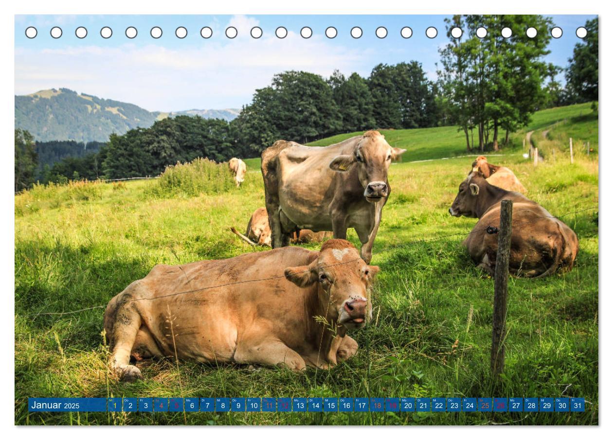 Bild: 9783435191529 | Allgäu - Perle im Süden (Tischkalender 2025 DIN A5 quer), CALVENDO...