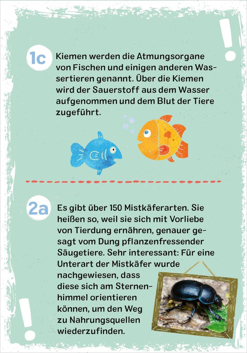 Bild: 9783845852348 | Das wilde Tier-Quiz | Philip Kiefer | Taschenbuch | 51 S. | Deutsch