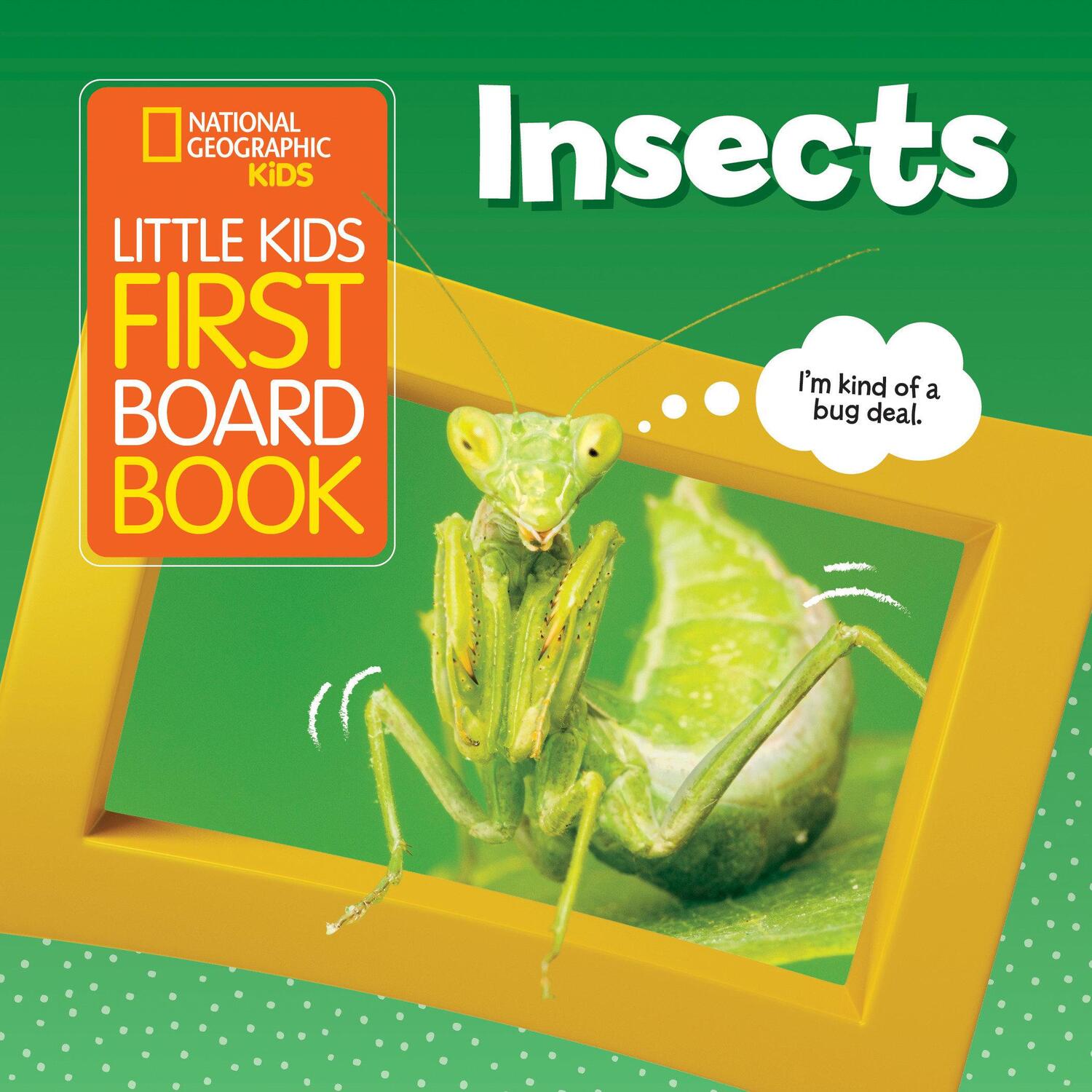 Cover: 9781426339028 | Little Kids First Board Book: Insects | Ruth A Musgrave | Buch | 2020