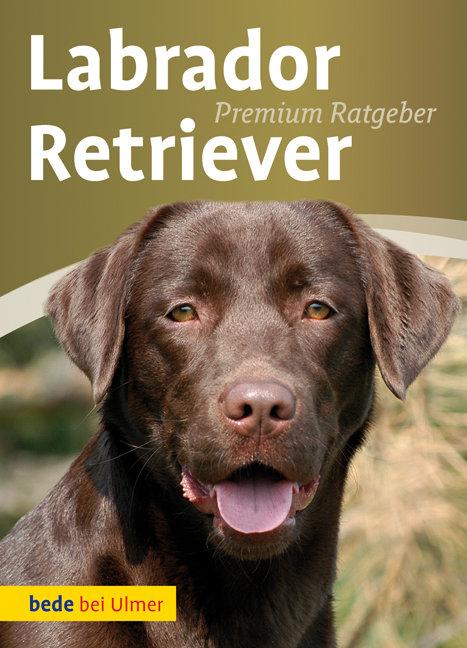 Cover: 9783800167302 | Labrador Retriever | Annette Schmitt | Buch | bede bei Ulmer | 128 S.