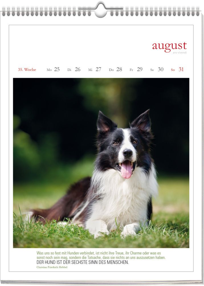 Bild: 9783747205648 | Literarischer Hunde - Kalender 2025 | Wochenkalender | Kalender | 2025