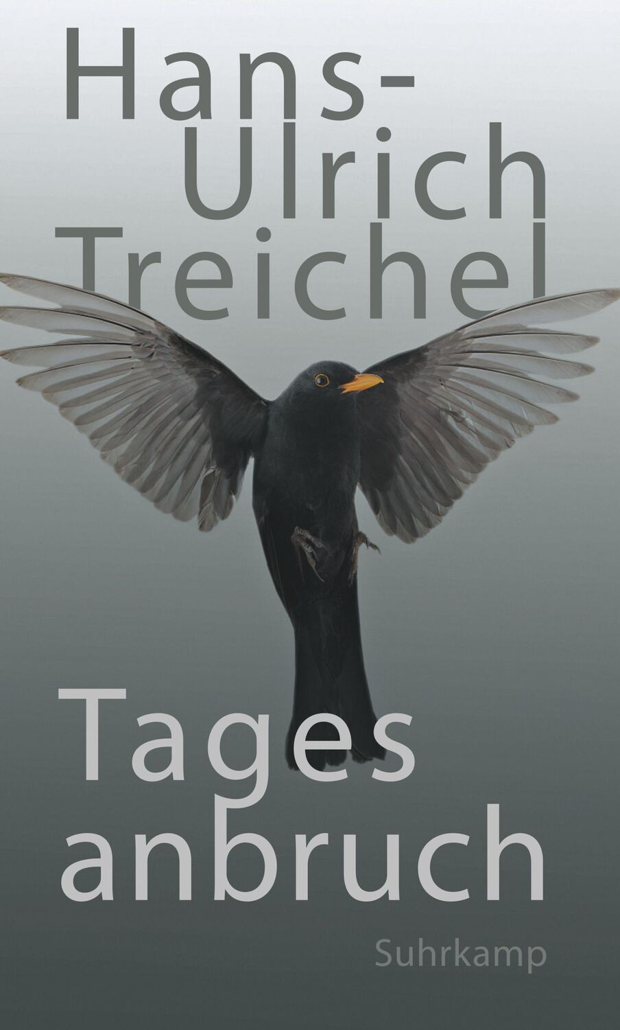 Cover: 9783518425251 | Tagesanbruch | Hans-Ulrich Treichel | Buch | 87 S. | Deutsch | 2016