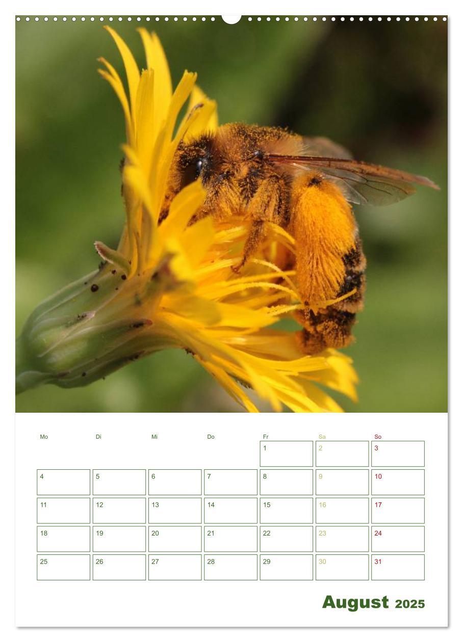 Bild: 9783457030011 | Bienen-Terminplaner 2025 (Wandkalender 2025 DIN A2 hoch), CALVENDO...