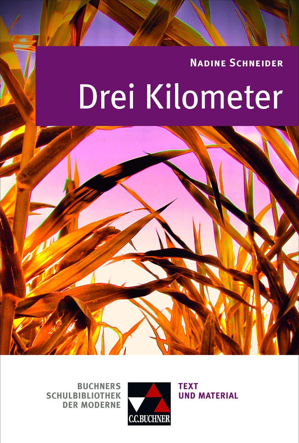 Cover: 9783766139962 | Schneider, Drei Kilometer | Irene Spangehl (u. a.) | Taschenbuch