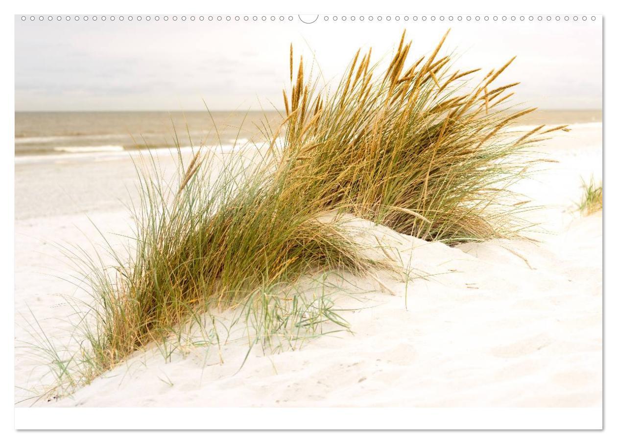 Bild: 9783435466351 | Grüße aus Texel (hochwertiger Premium Wandkalender 2025 DIN A2...