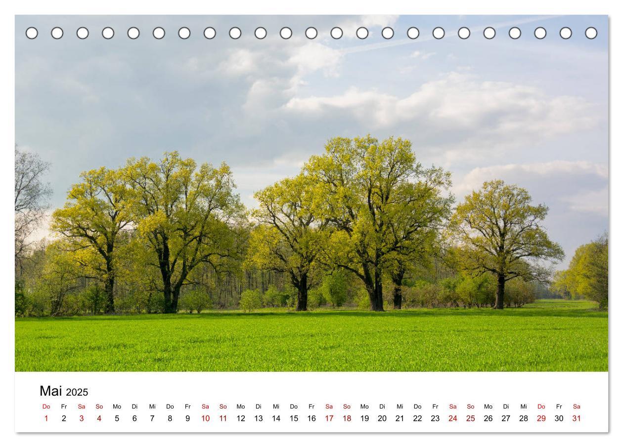 Bild: 9783435198672 | Unterwegs im Spreewald (Tischkalender 2025 DIN A5 quer), CALVENDO...