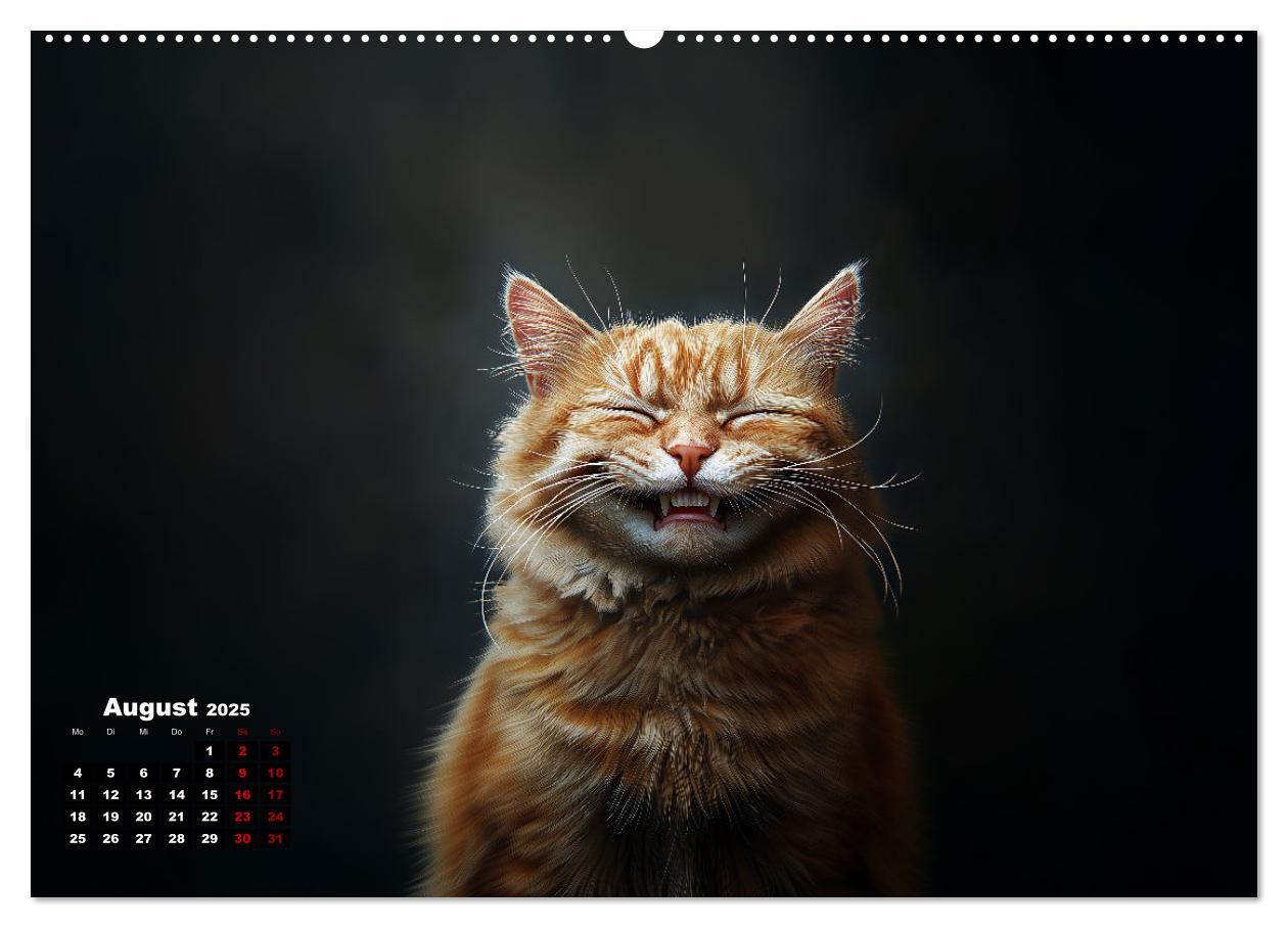 Bild: 9783457202128 | Auch Katzen lachen gern (hochwertiger Premium Wandkalender 2025 DIN...