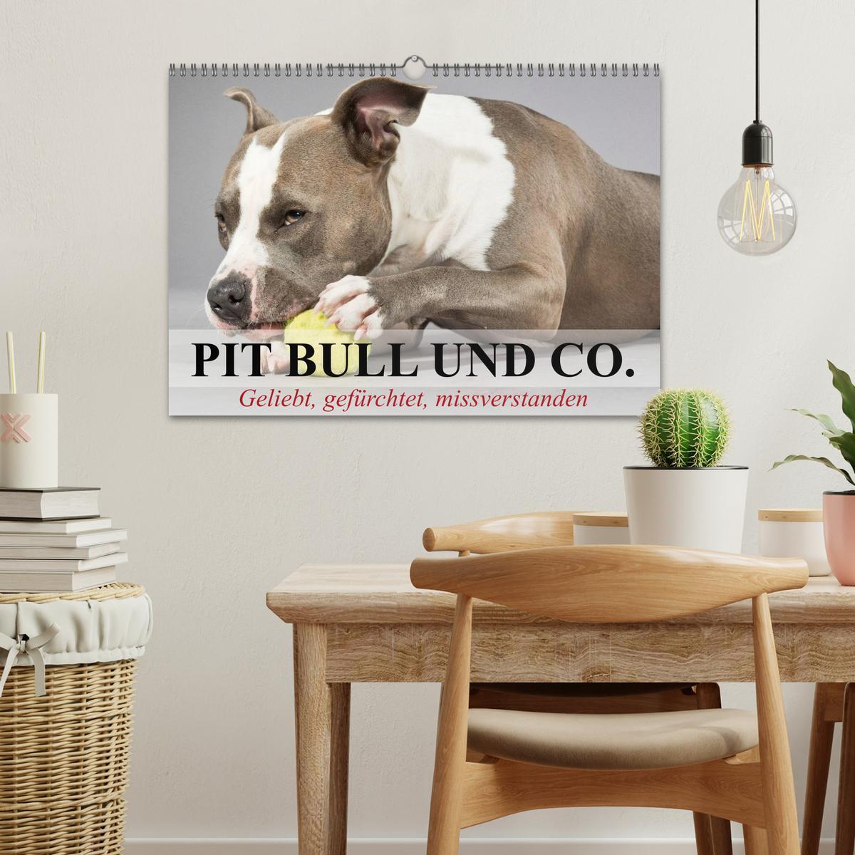 Bild: 9783435658442 | Pit Bull und Co. - Geliebt, gefürchtet, missverstanden...