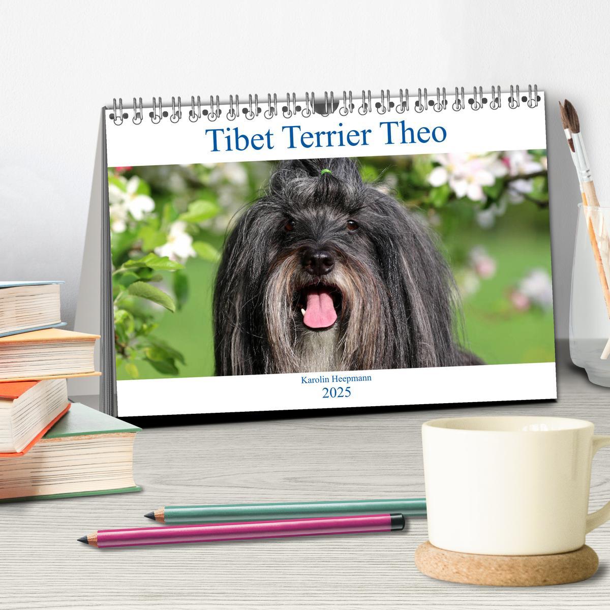 Bild: 9783457162392 | Tibet Terrier Theo (Tischkalender 2025 DIN A5 quer), CALVENDO...