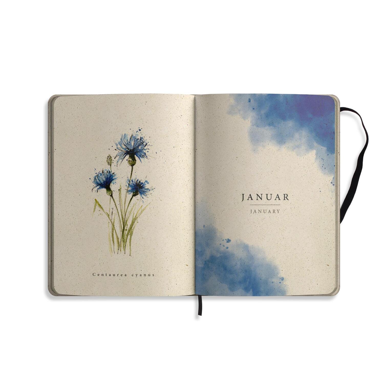 Bild: 4260626413103 | matabooks - A5 Kalender Samaya 2025 Farbe: Blossom Blue (DE/EN) | Buch