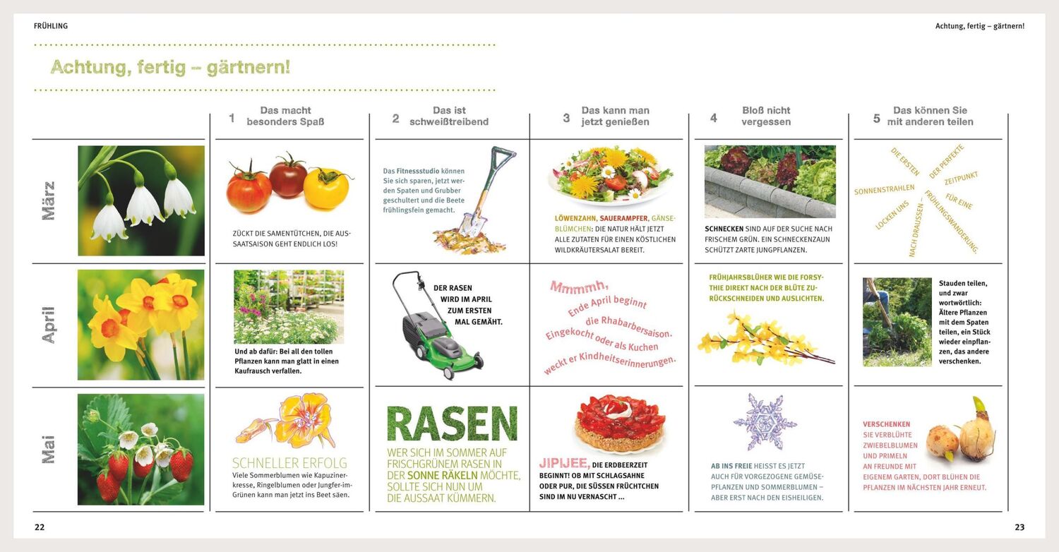 Bild: 9783833829079 | Garten Basics - Gärtnern für Anfänger | Mascha Schacht | Taschenbuch