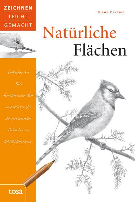 Cover: 9783863135638 | Natürliche Flächen | Zeichnen leicht gemacht | Diane Cardaci | Buch