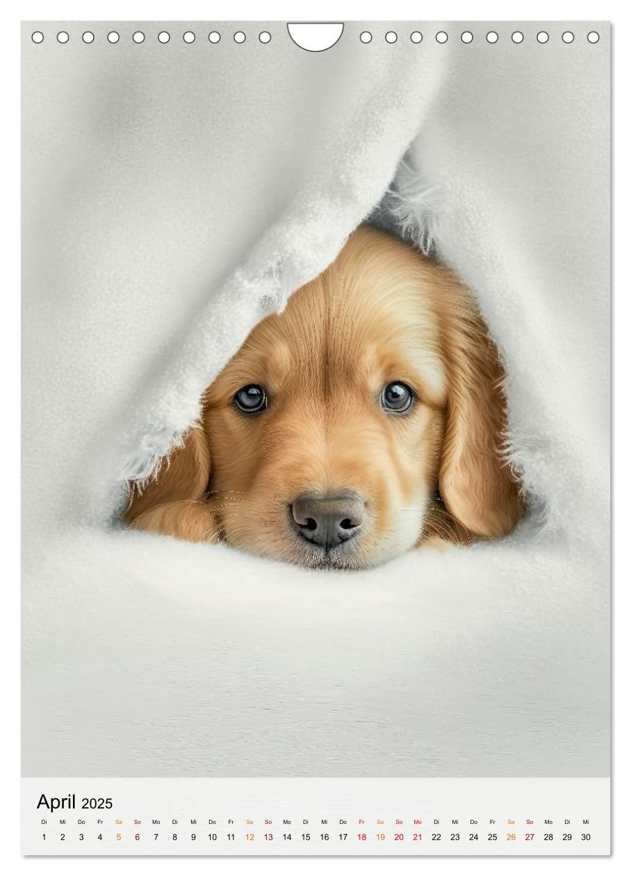 Bild: 9783435881246 | Golden Retriever - ein Hund für die Familie (Wandkalender 2025 DIN...