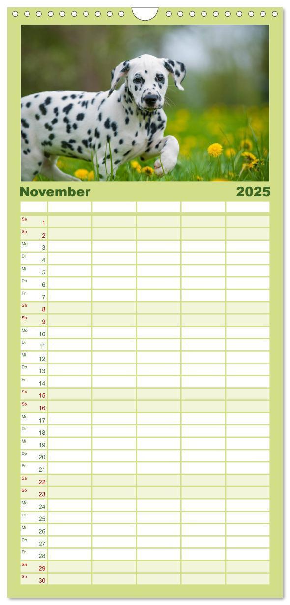 Bild: 9783457113578 | Familienplaner 2025 - Dalmatiner mit 5 Spalten (Wandkalender, 21 x...