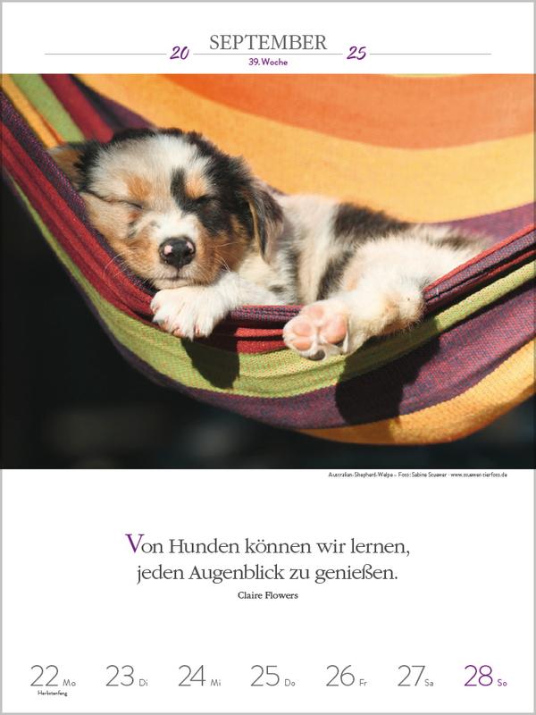 Bild: 9783731877271 | Literaturkalender Hunde 2025 | Verlag Korsch | Kalender | 54 S. | 2025