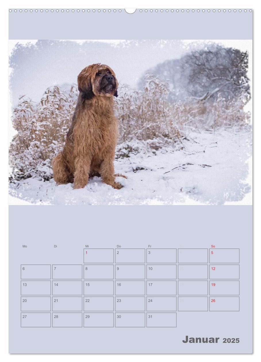 Bild: 9783457055656 | Hunde in Aquarell - Jahresplaner (Wandkalender 2025 DIN A2 hoch),...