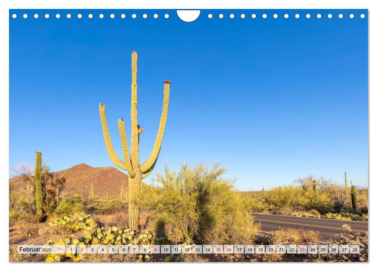 Bild: 9783435203079 | SAGUARO NATIONAL PARK Heimat des Saguaro-Kaktus (Wandkalender 2025...