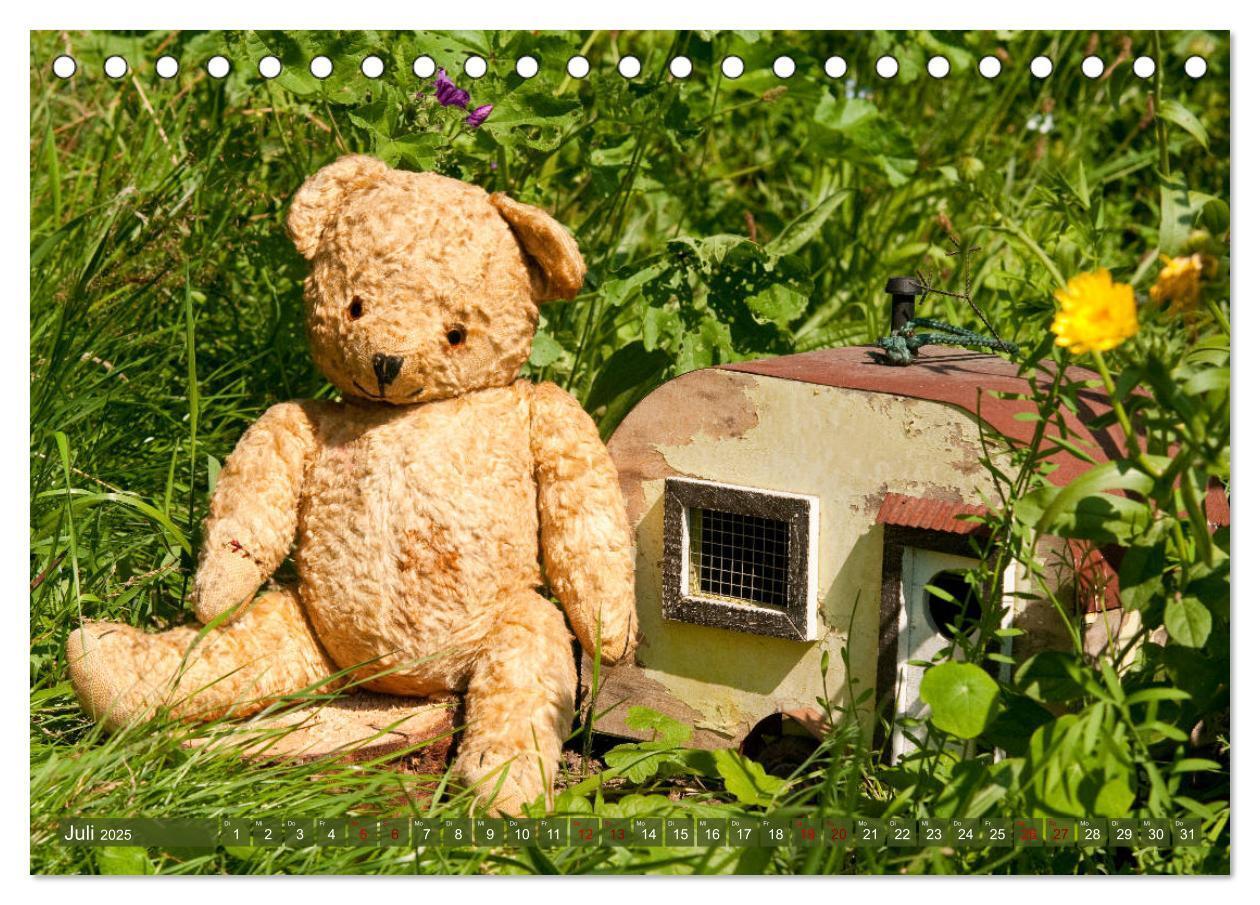 Bild: 9783435410842 | Kunterbunte Bärenwelt - Teddys (Tischkalender 2025 DIN A5 quer),...