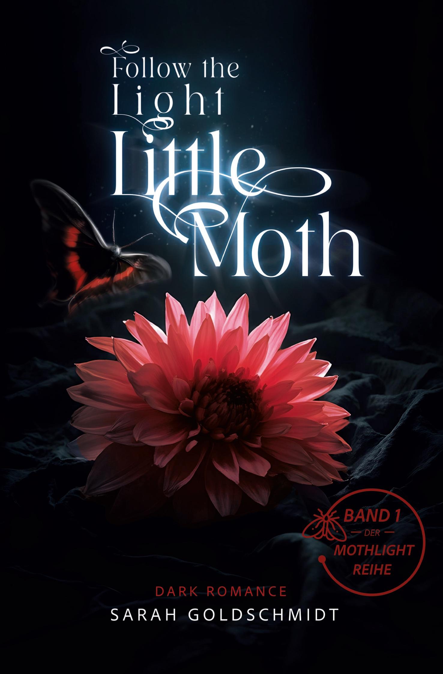 Cover: 9783759267788 | follow the light little moth | Sarah Goldschmidt | Taschenbuch | 2024