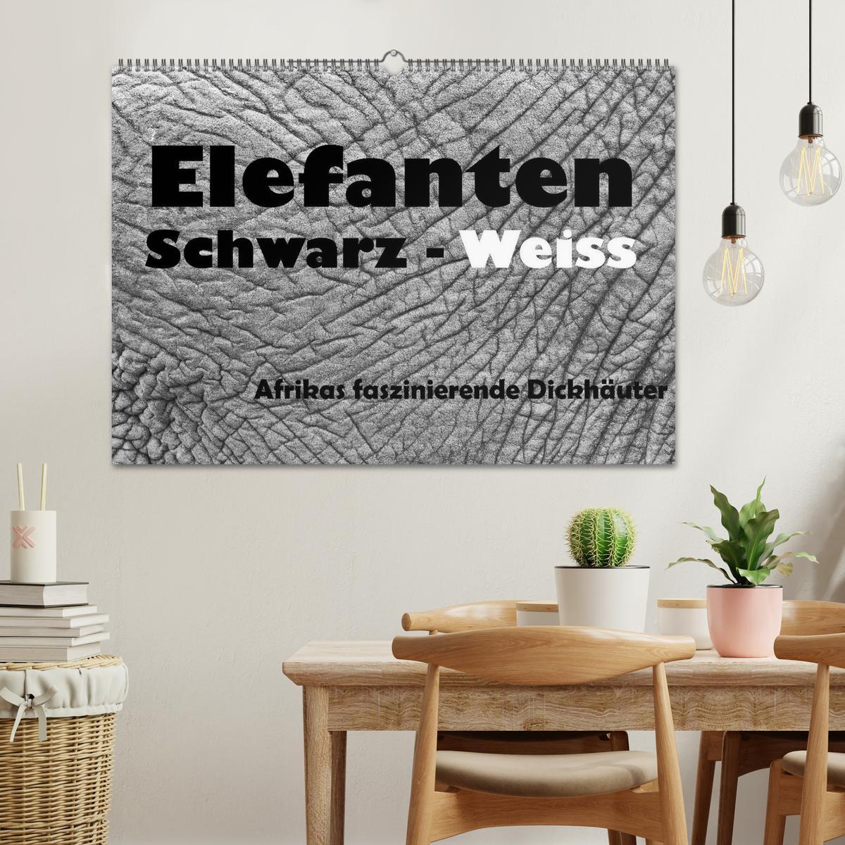 Bild: 9783435732999 | Elefanten Schwarz - Weiss (Wandkalender 2025 DIN A2 quer), CALVENDO...