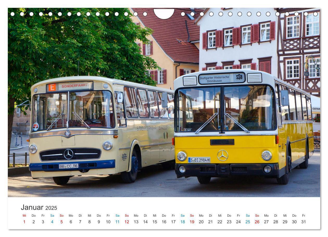 Bild: 9783383829895 | Omnibusse im Fokus (Wandkalender 2025 DIN A4 quer), CALVENDO...