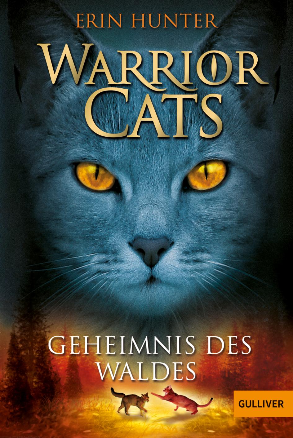 Cover: 9783407742537 | Warrior Cats Staffel 1/03. Geheimnis des Waldes | Erin Hunter | Buch