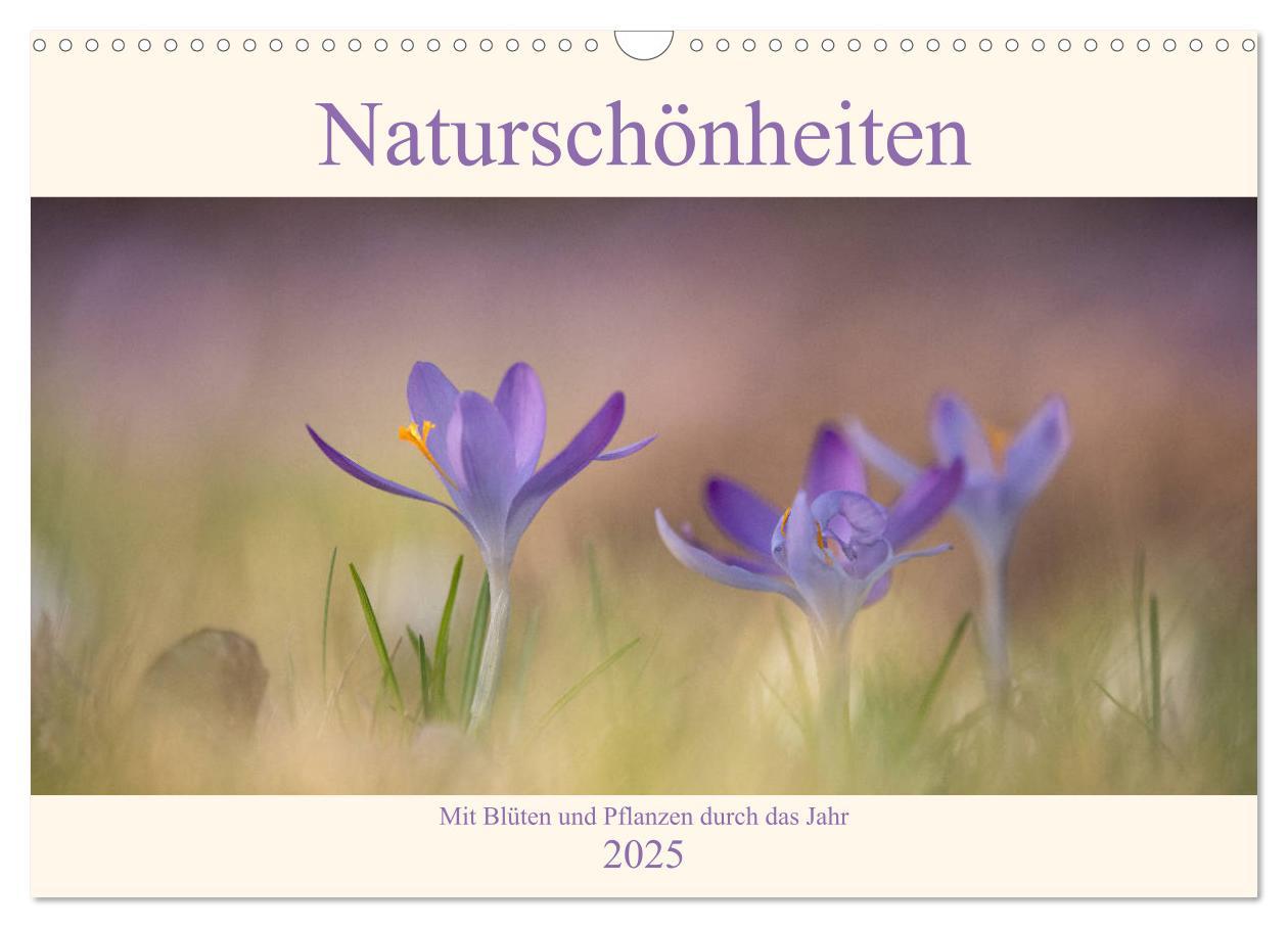 Cover: 9783435179022 | Naturschönheiten - mit Blüten und Pflanzen durch das Jahr...