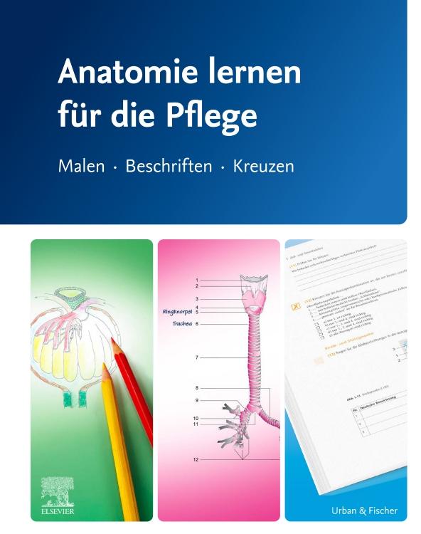 Cover: 9783437251634 | Anatomie lernen für die Pflege | Malen - Beschriften - Kreuzen | Gmbh