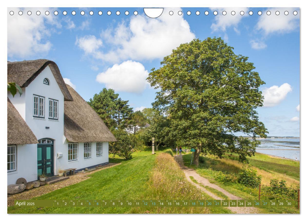 Bild: 9783457214091 | Sylt süchtig (Wandkalender 2025 DIN A4 quer), CALVENDO Monatskalender