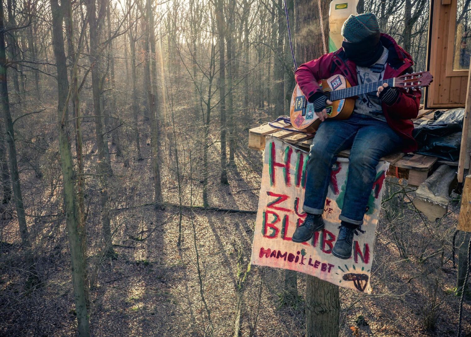 Bild: 9783965460089 | Forst | Die Besetzung des Hambacher Waldes | David Klammer | Buch