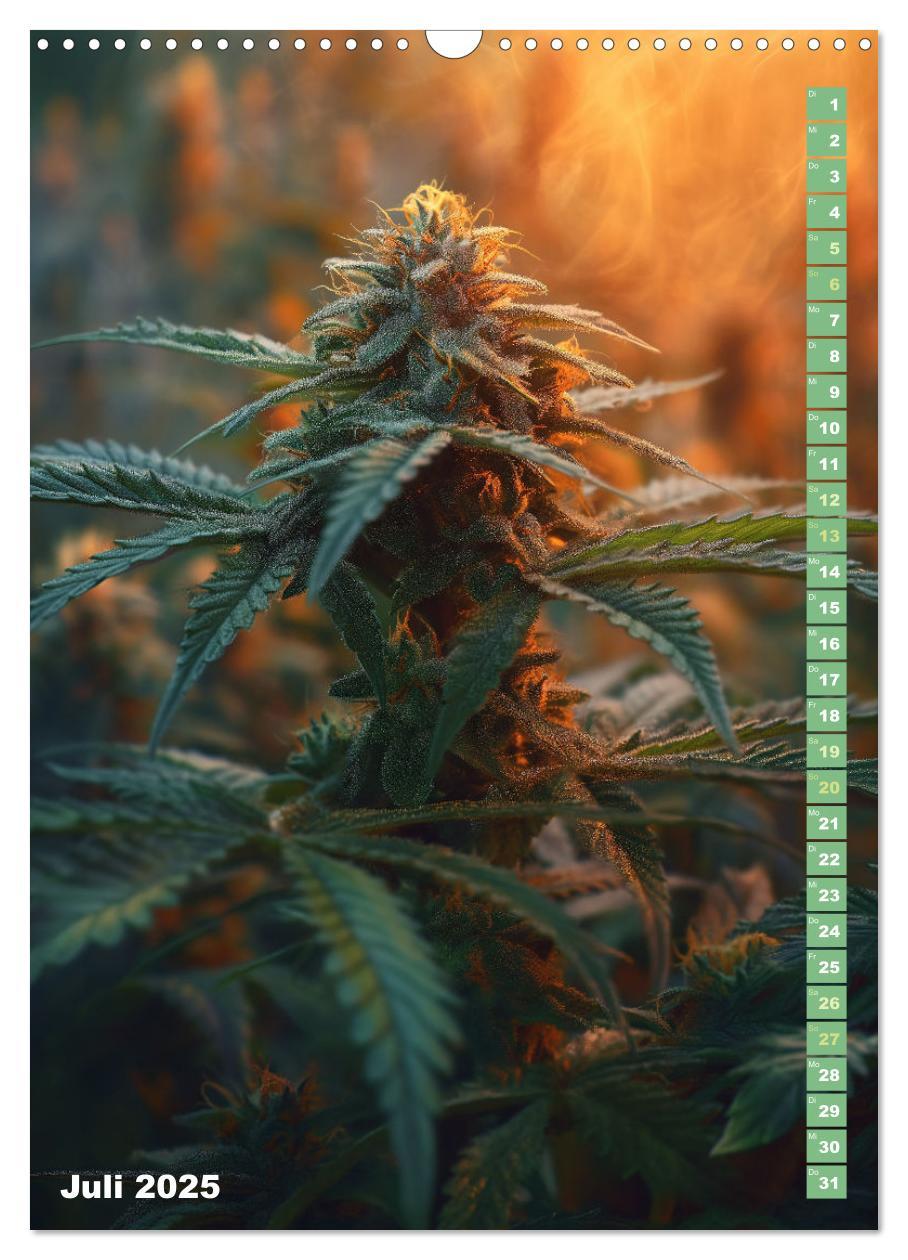 Bild: 9783383764721 | Rauschende Aussichten - Der ultimative Cannabis-Kalender...