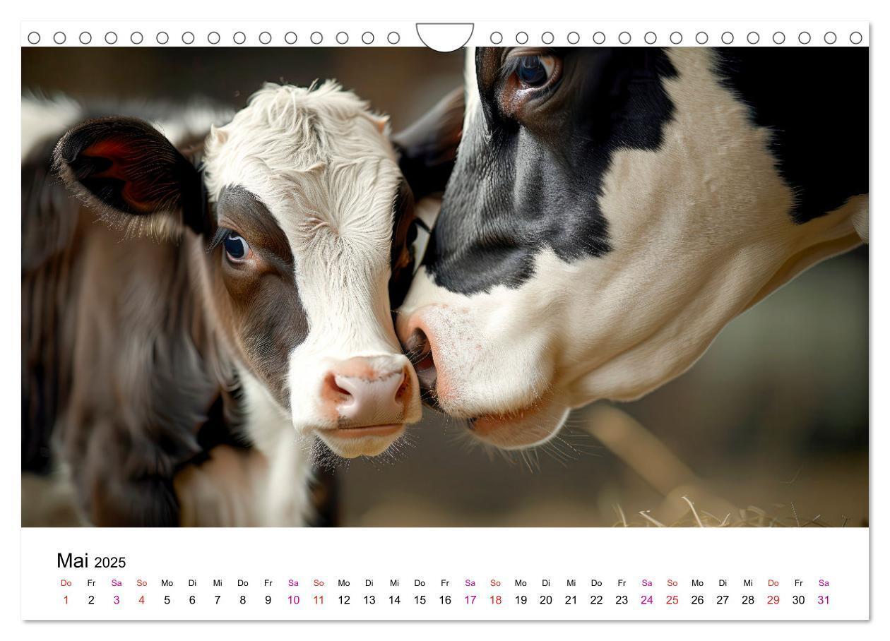 Bild: 9783457162705 | Holsteiner Schönheiten (Wandkalender 2025 DIN A4 quer), CALVENDO...