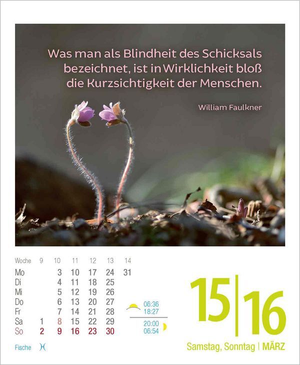 Bild: 9783731877356 | Lebensweisheiten 2025 | Korsch Verlag | Kalender | 328 S. | Deutsch