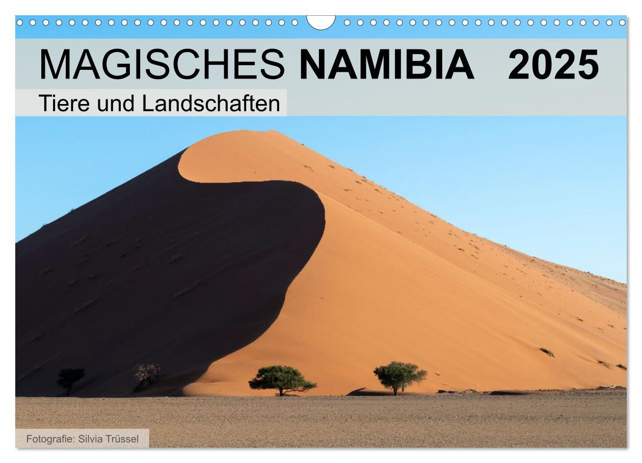 Cover: 9783435471836 | Magisches Namibia - Tiere und Landschaften (Wandkalender 2025 DIN...