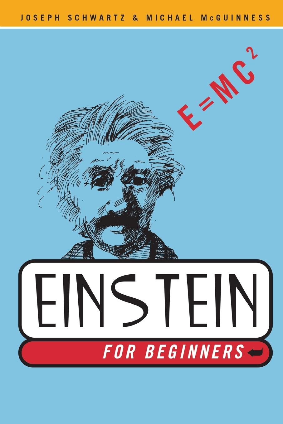 Cover: 9780375714597 | Einstein for Beginners | Joseph Schwartz (u. a.) | Taschenbuch | 2003