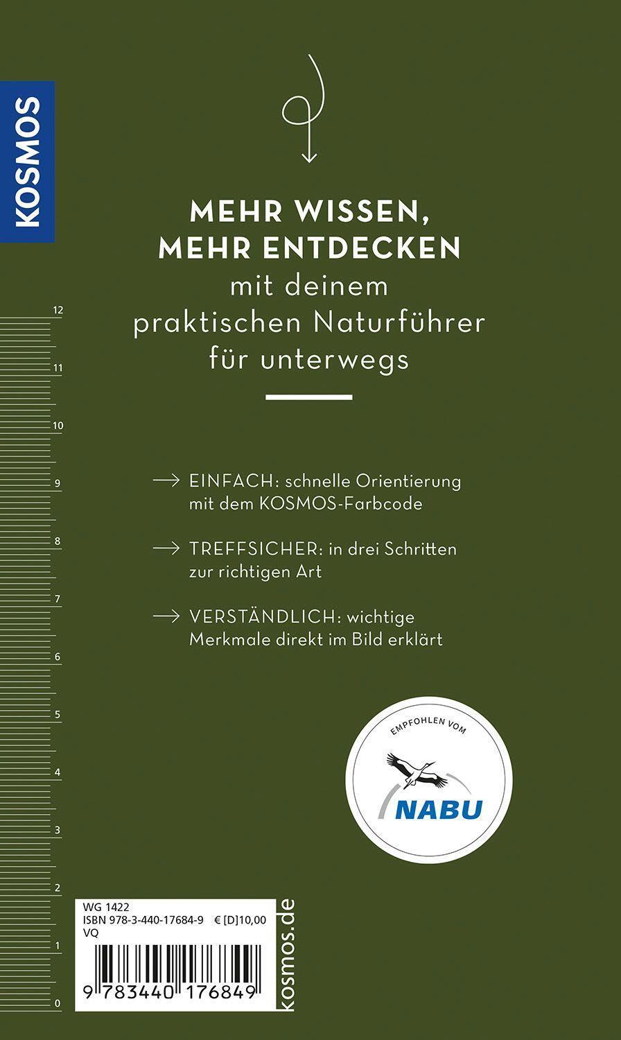 Bild: 9783440176849 | Basic Wald | Ute Wilhelmsen | Taschenbuch | Kosmos-Naturführer Basics