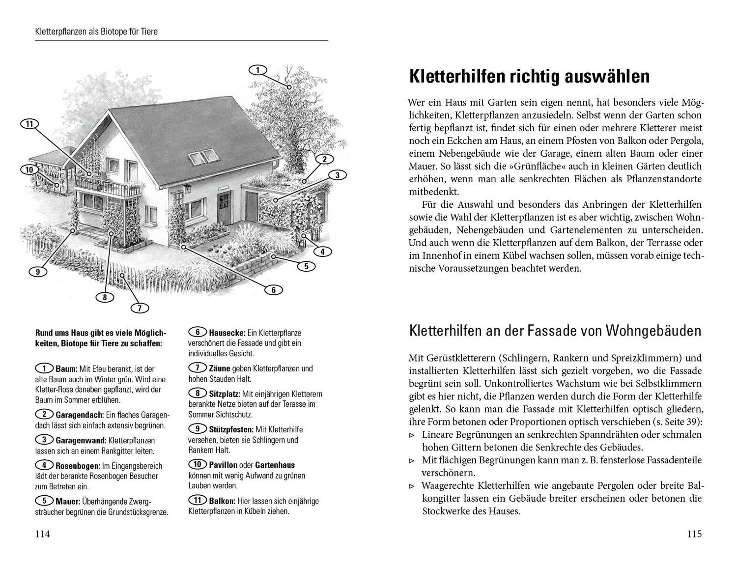 Bild: 9783895663390 | Grüne Wände für Haus und Garten | Brigitte Kleinod | Buch | 180 S.